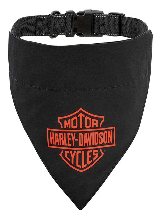 HARLEY DAVIDSON Harley-Davidson Dog Pet Collar w/Black Bandana, L/XL 18"-26" Adjustable Clasp - Image 2
